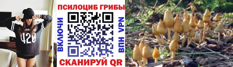Галлюциногенные грибы мицелий  Иноземцево 
